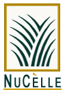 NuCelle Blog